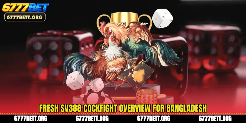 Fresh SV388 cockfight overview for Bangladesh