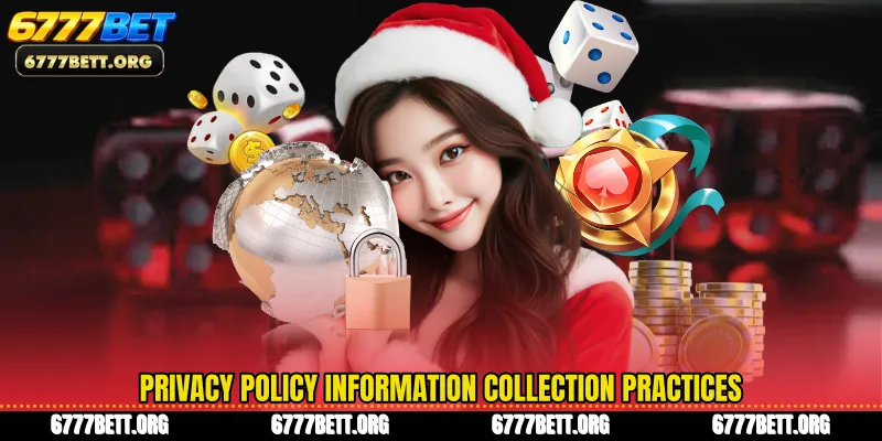Privacy Policy information collection practices